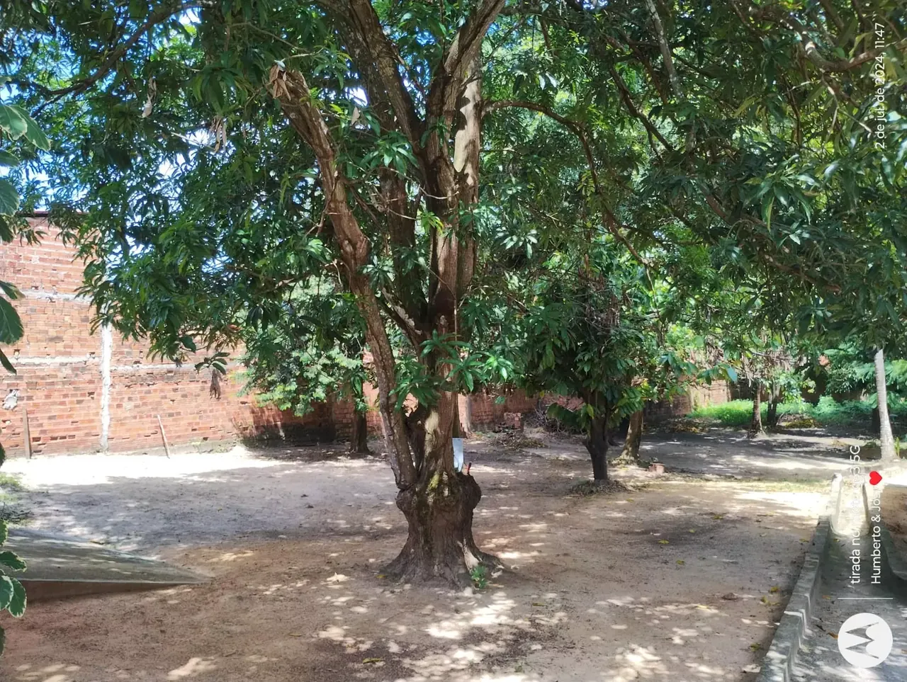 Unidade da rede parceira