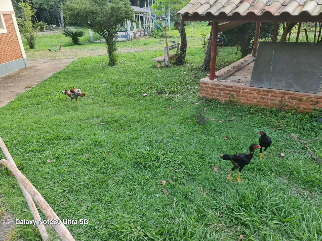 Unidade da rede parceira