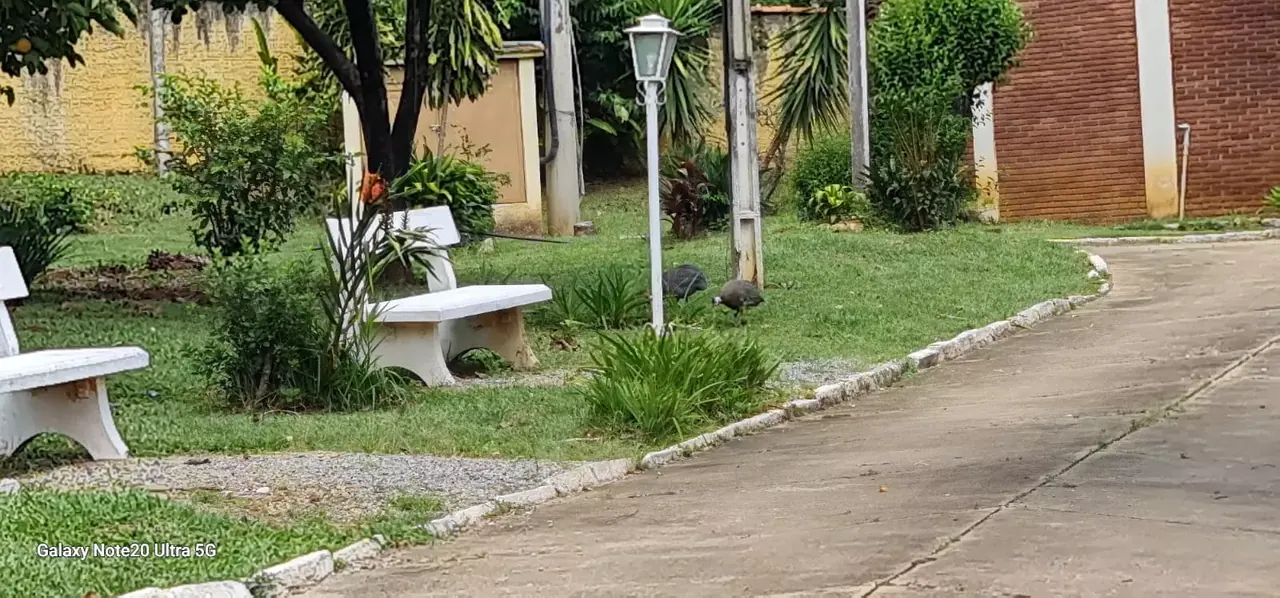 Unidade da rede parceira